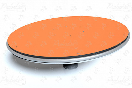 Draaielement Fun Disc J2407 speeltoestellen dynamische speeltoestellen draaitoestellen afbeelding 3d