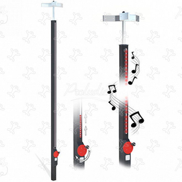 Interactief spel J3451-R® speeltoestellen educatieve en zintuiglijke speeltoestellen interactieve spelervaringen afbeelding 3d