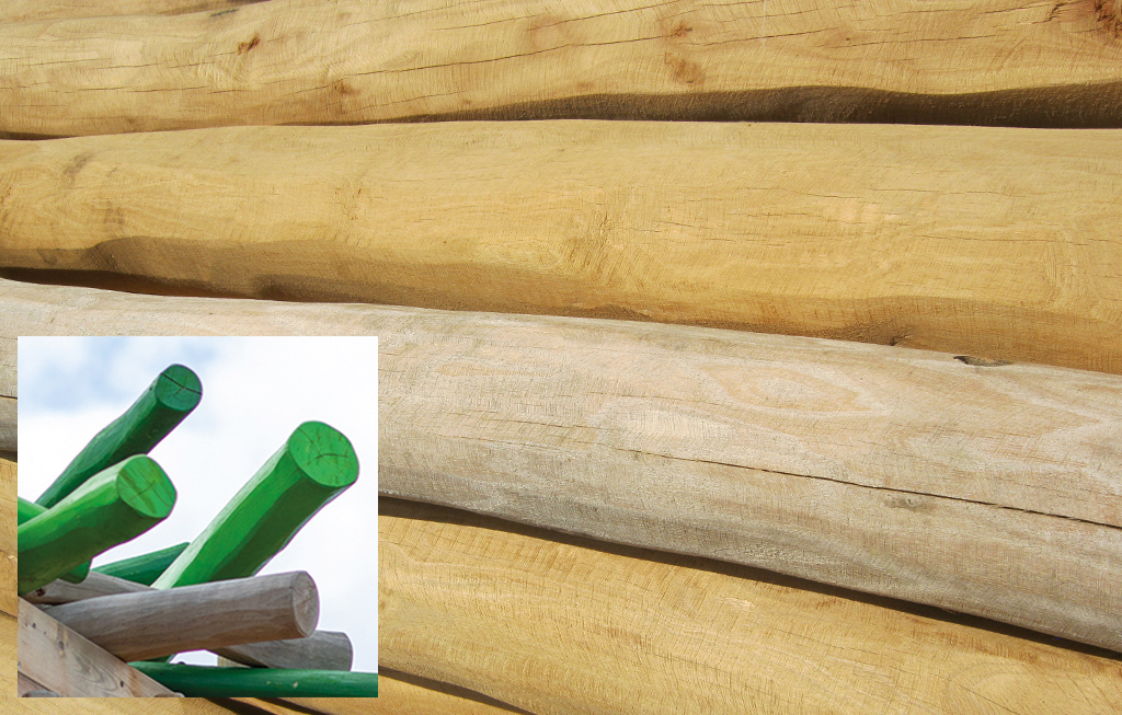 De verschillende palen