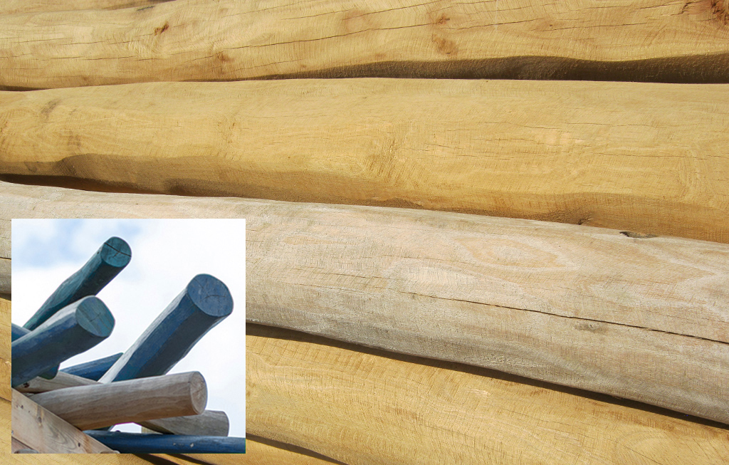 De verschillende palen