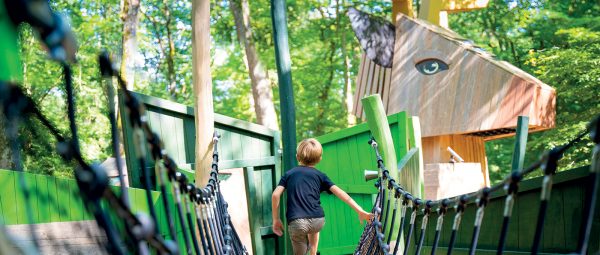 Al onze duurzame, natuurlijke houtproducten